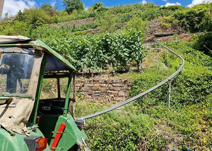 Hotel Weingut Haxel Cochem
