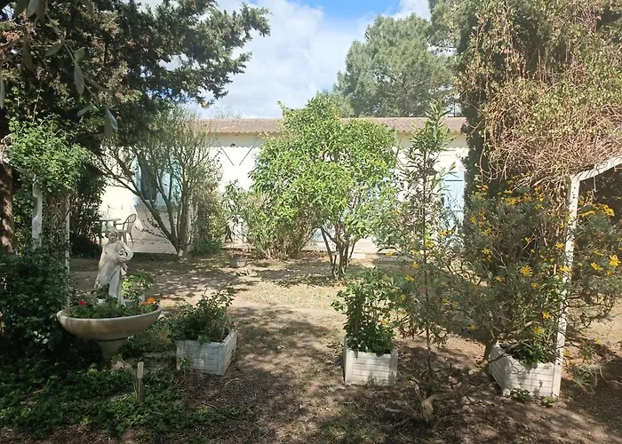 Bed and Breakfast mas des pins à Saint-Cyprien 