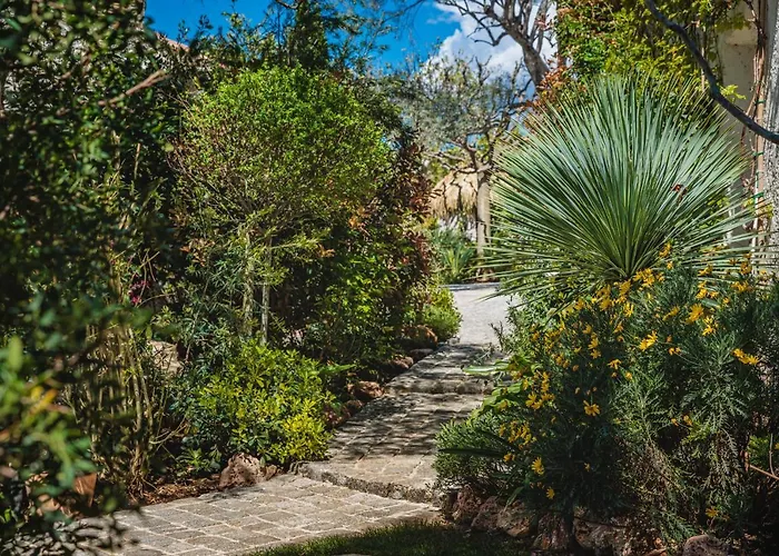 La Bastide de l'Oliveraie Le Castellet 