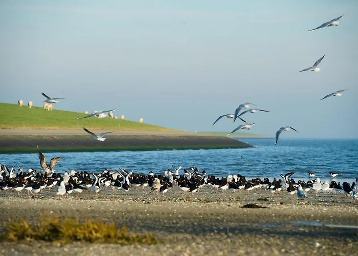 Breeze Ameland Hotel Hollum 