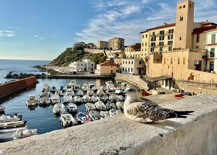 Piombino1428 - Bilocale