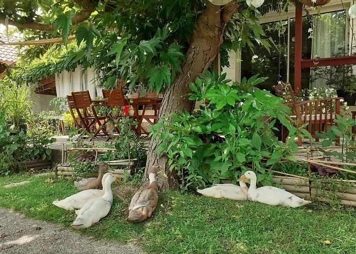 Au Bosquet, Chambre Et Salle De Bains Avec Petit Dejeuner A 600 M Du Centre Dans Un Cadre Calme Et Verdoyant Salies-de-Béarn