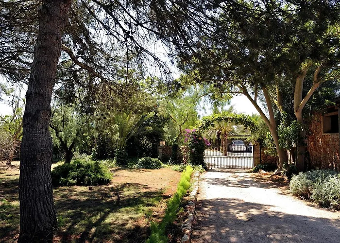 Petit Hotel Es Figueral Campos 