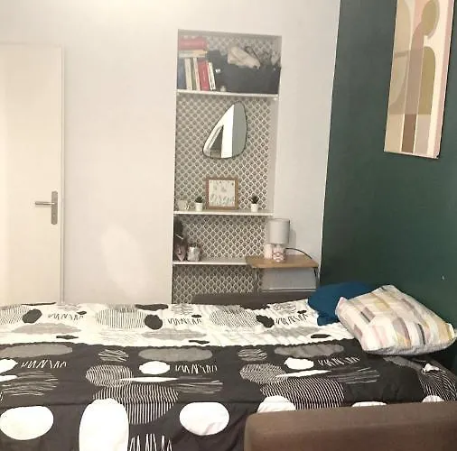 Chambre En Appartement Haussmannien En Centre Ville Saint-Etienne 