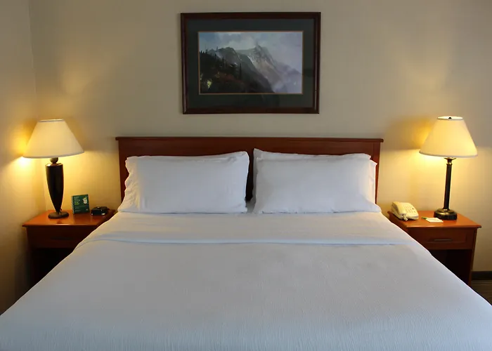 3 Rivers Hotel