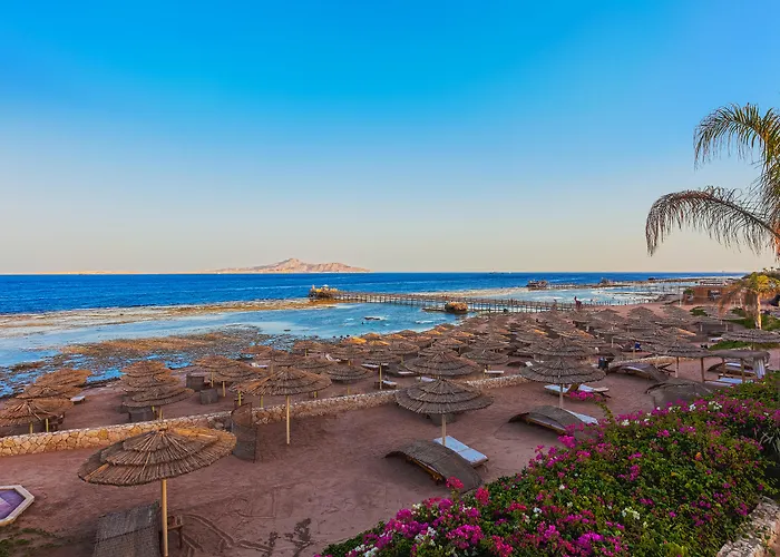Cleopatra Luxury Resort Sharm El Sheikh (Adults Only)