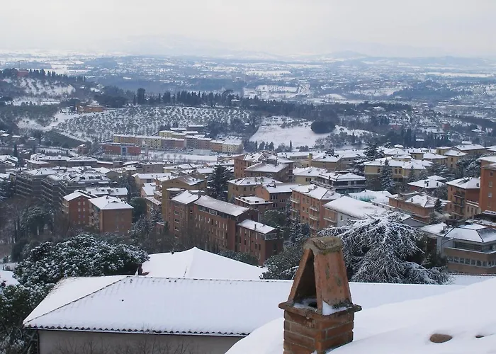 Hotel Signa