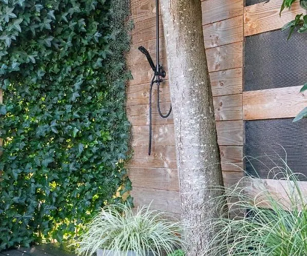 B&B Joli met privé wellness Wemeldinge