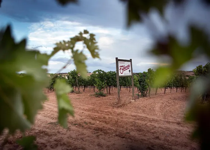Hotel Spa Tudanca Aranda Fuentespina