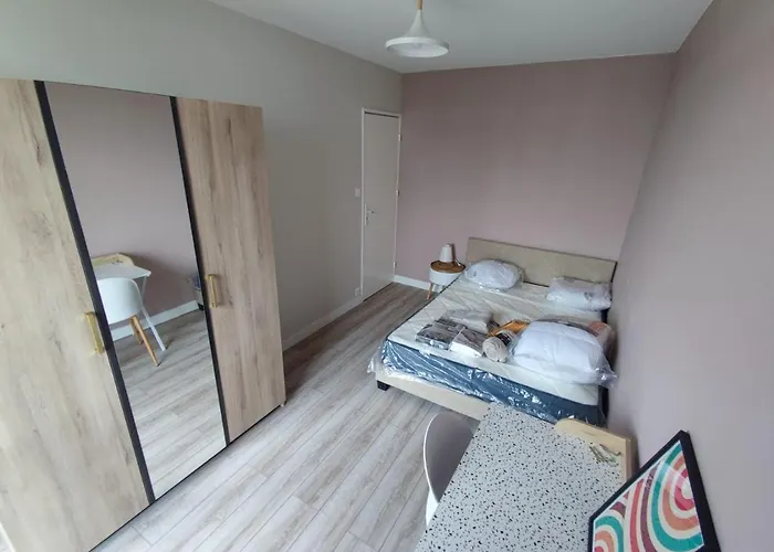 Chambre Dans Appartement Saint-Etienne 