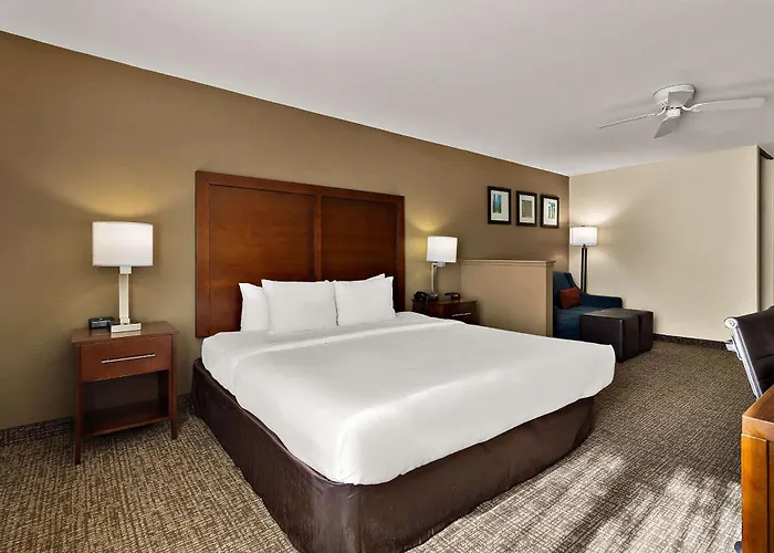 Comfort Inn & Suites Sequoia Kings Canyon Three Rivers