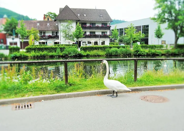 Hotel Schiff Nagold