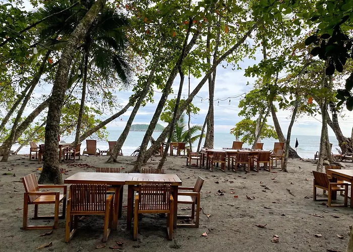 Arenas Del Mar Beachfront & Rainforest Resort Member Of The Cayuga Collection