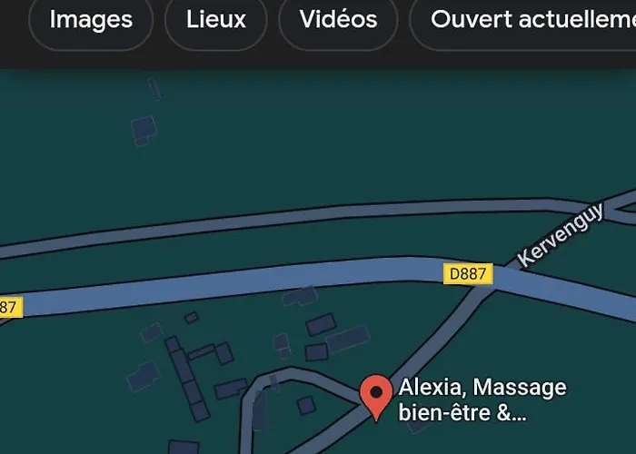 Maison D'Hote De L'Aber - Lavande Crozon