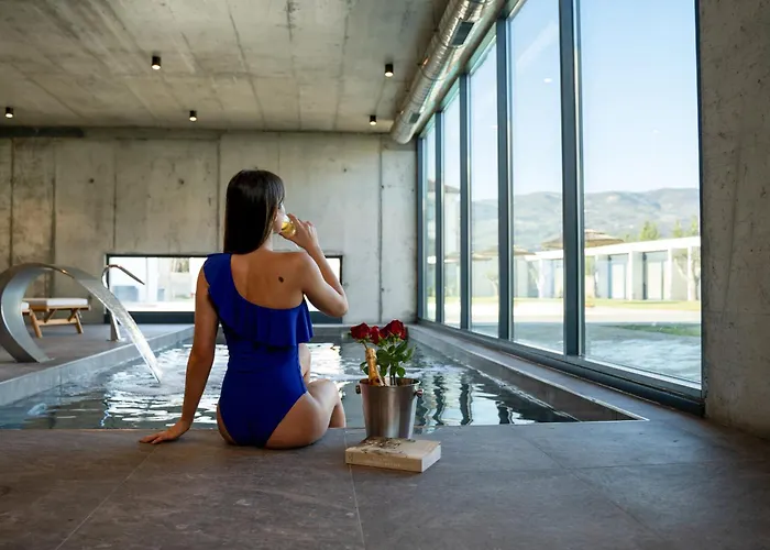 Borralha Hotel, Restaurante & Spa Vila Real