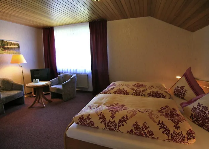 Hotel Haus Sieber Sankt Andreasberg