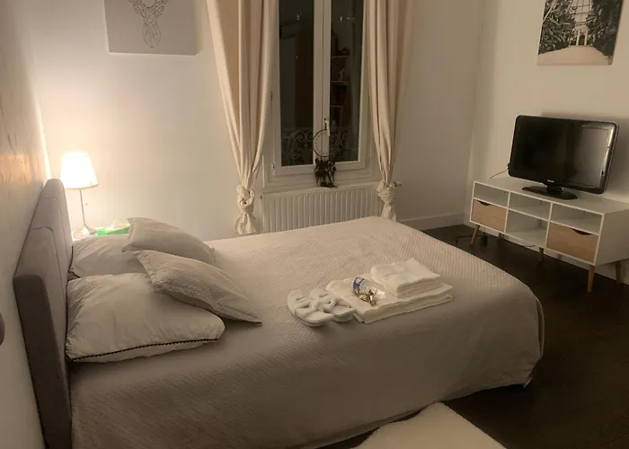 Chambre Dans Maison Avec Piscine - Proche Eurexpo & Groupama Stadium Bron