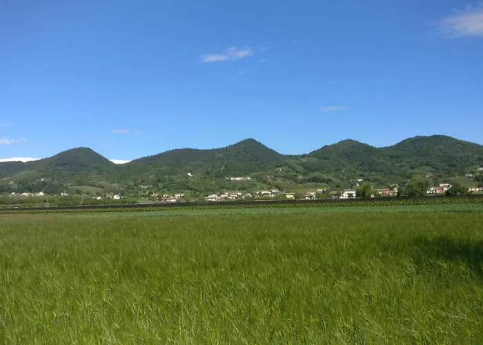 Hotel Oleaclub Locazione Turistica Asolo