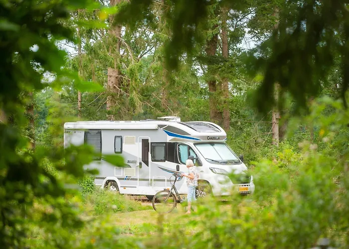 RCN Vakantiepark de Roggeberg Appelscha