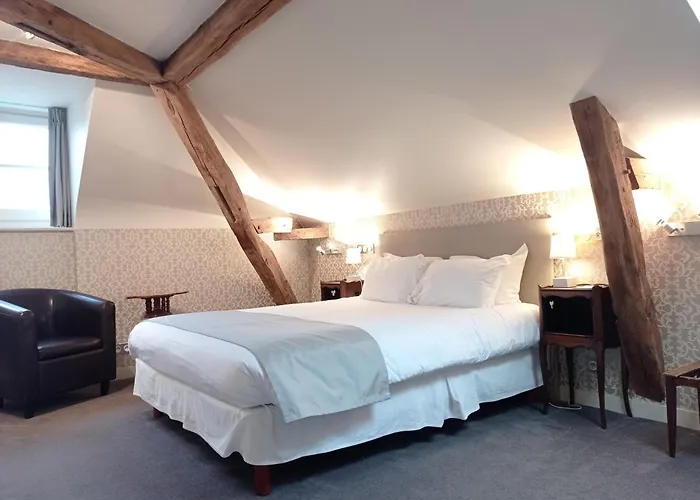 Hotel Teritoria Le Grand Monarque à Azay-le-Rideau