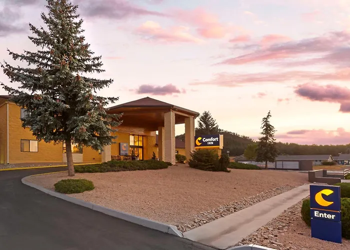 Comfort Inn Near Grand Canyon Williams