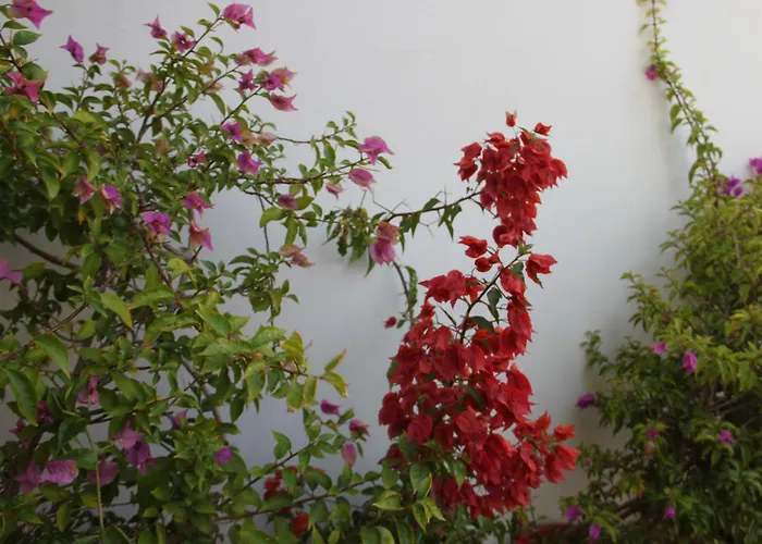 B&B San Lorenzo Bitonto