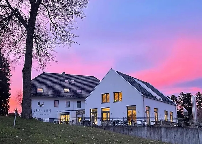 Hotel Restaurant Auerhahn