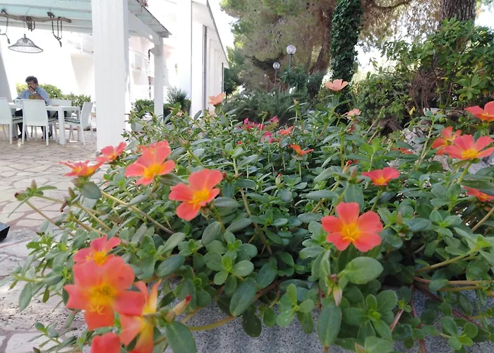 Aparthotel Raggio Di Sole Alberobello
