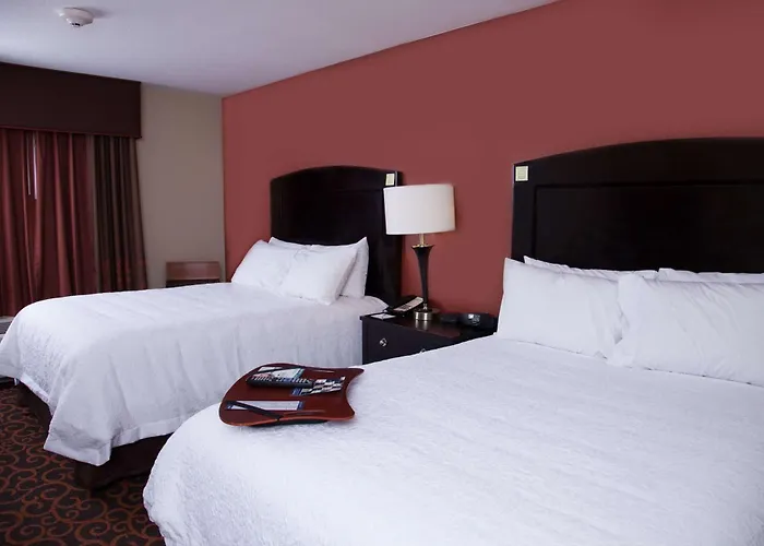 Hampton Inn & Suites Dickinson Nd