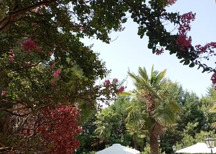 B&B Villa delle palme
