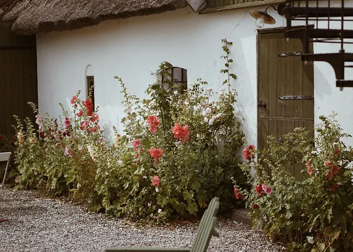 Bed and Breakfast Axatorpsgarden Trelleborg
