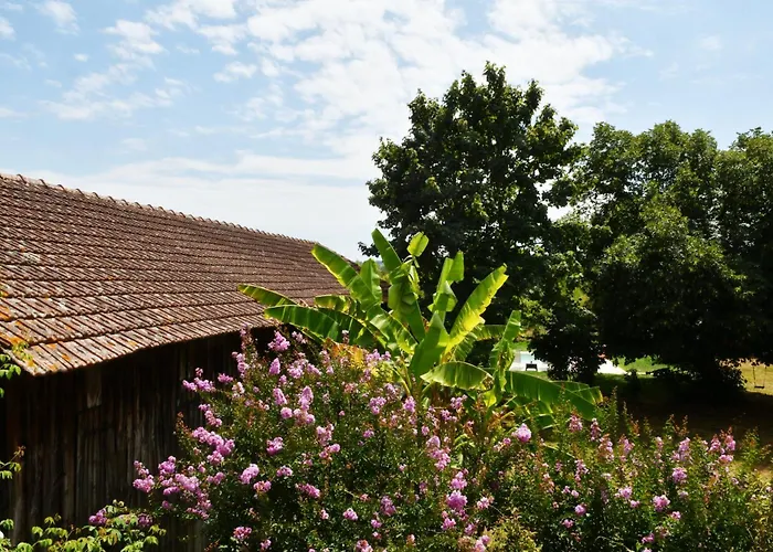 Les bergeronnettes - Chambres d'Hôtes Bergerac