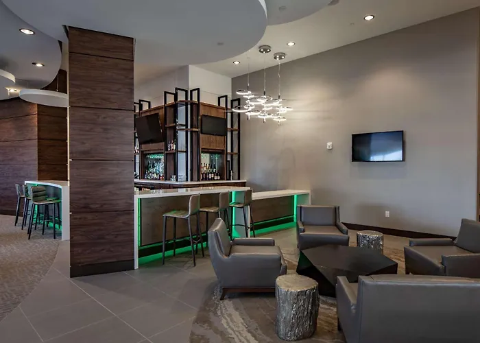 Hilton Garden Inn Dallas At Hurst Conference Center