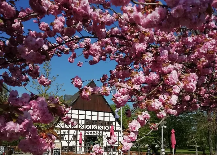 Hotel Hof Hueck Bad Sassendorf