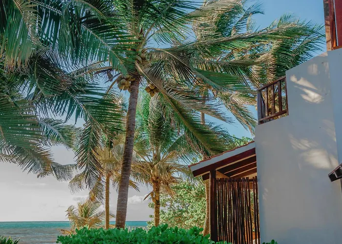 Bed and Breakfast Casa Colibri Tankah Tulum