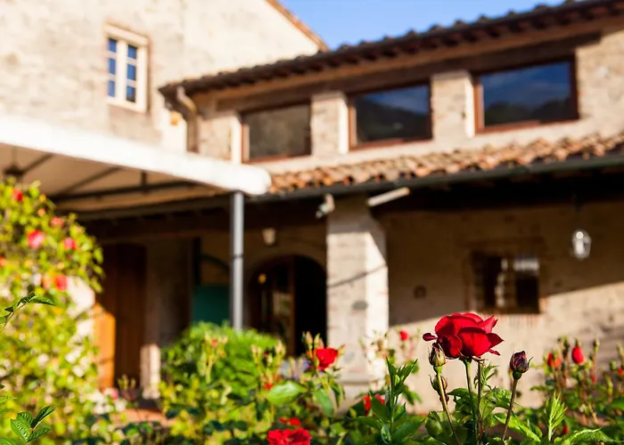 Hotel Bernardone Camaiore