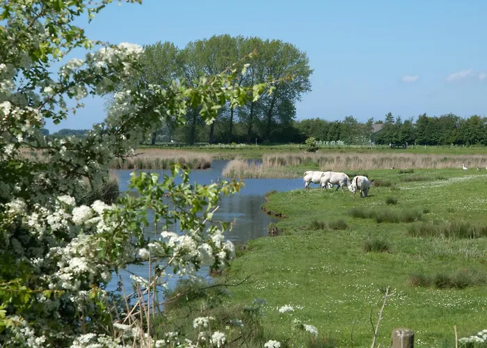 De Eenhoorn Oostburg