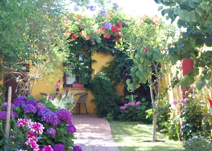 Hotel Doñana Blues Matalascañas