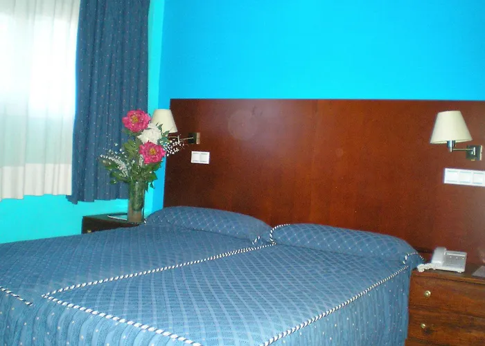 Auto Check In Hotel Las Nieves Jaca