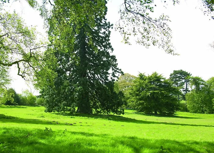 Woodland Grange
