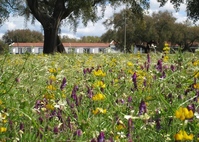 Monte Das Faias Cork Farm Hotel Grândola