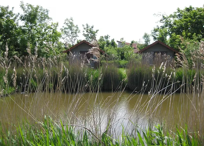Bed&Breakfast De Zeehoeve Harlingen