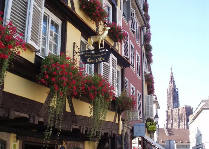Hotel Restaurant Au Cerf d'Or Strasbourg