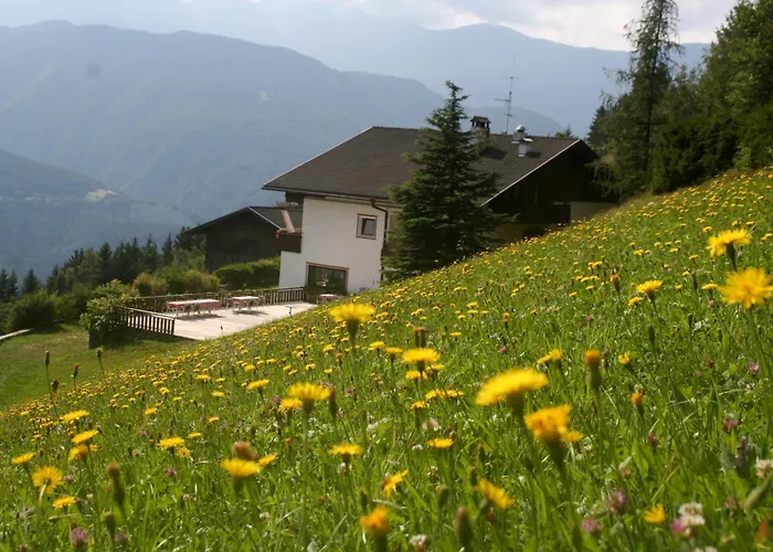 Biogasthaus Plonerhof "Sweet Dolomites View" Bressanone