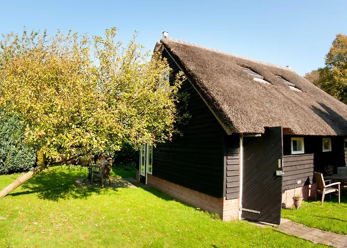 De Violier Bed and Breakfast Eext