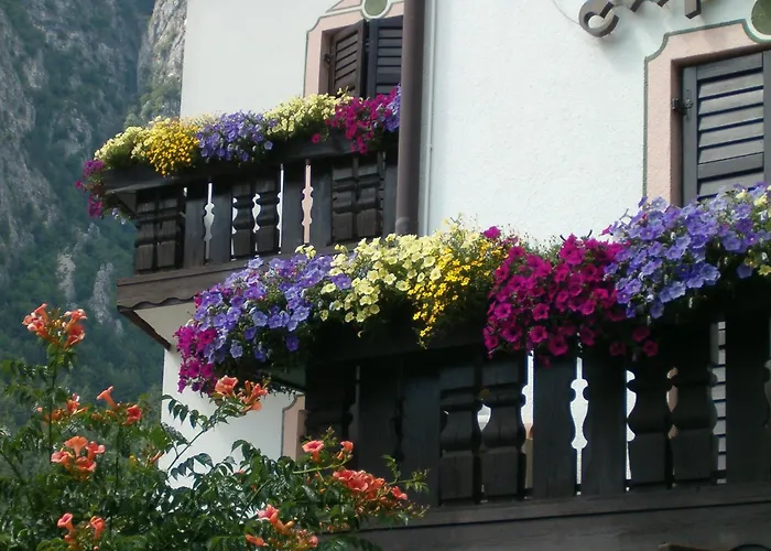 Hotel Stella Alpina