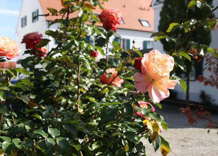 Hotel Gasthaus Wangerhof Augsburg