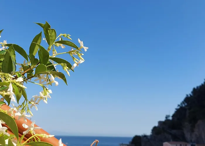 B&B Domus San Pietro Cetara