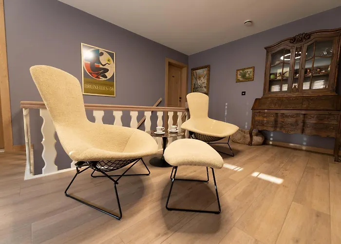 Boris & Barney Bed and Breakfast Mechelen