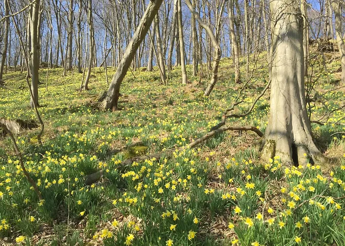 Venngasthof Zur Buche